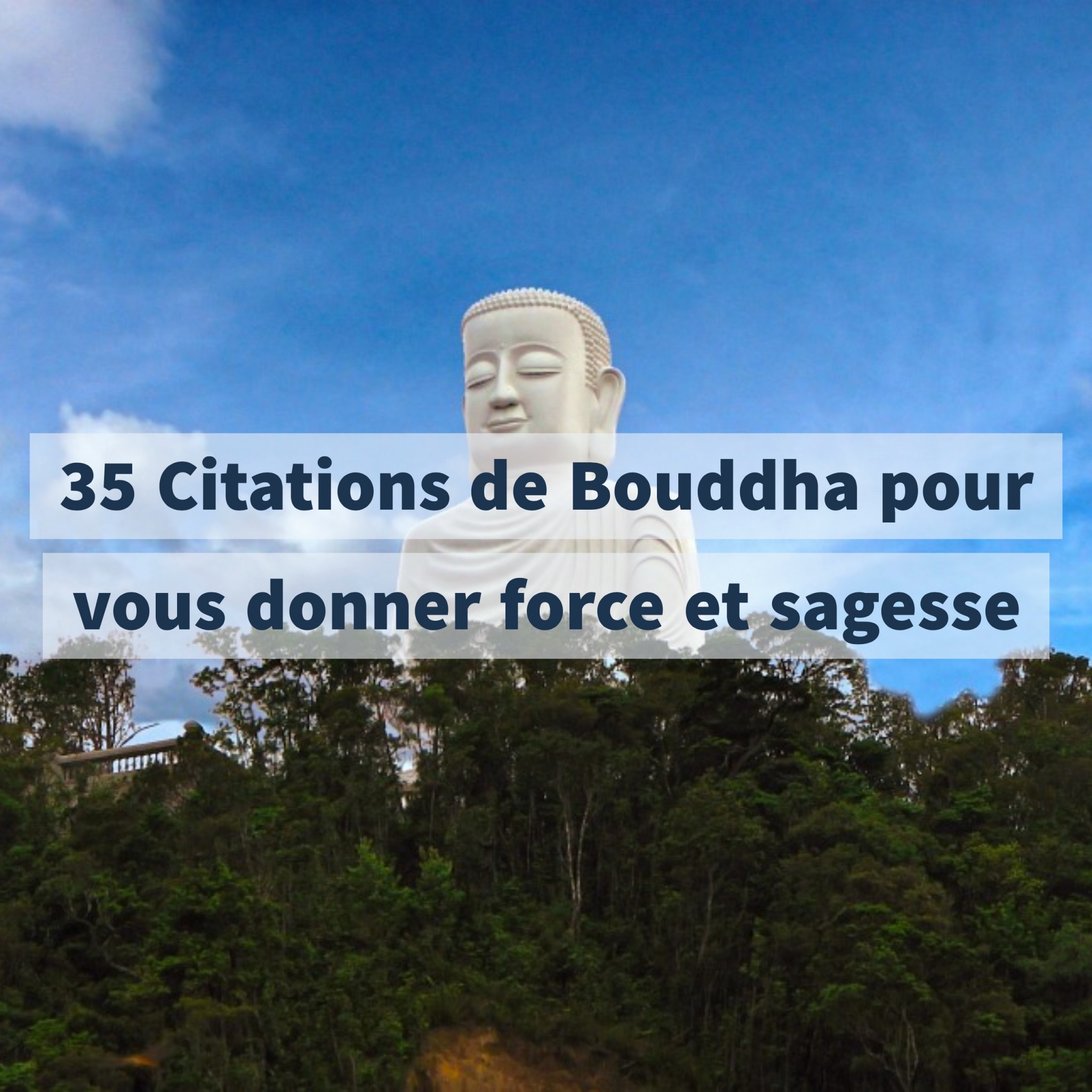 35 Citations de Bouddha pour vous donner force et sagesse